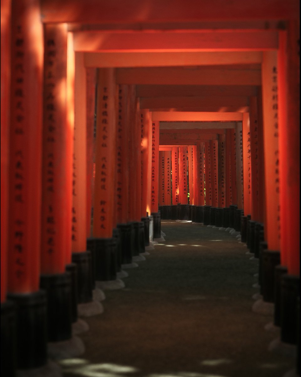 ___Critique___'s tweet image. Lushfoil Photography sim