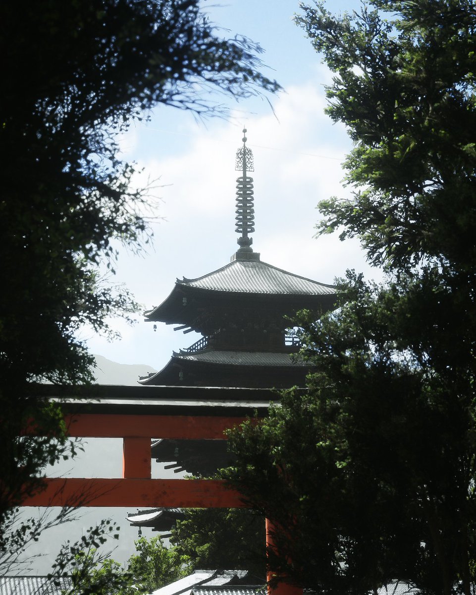 ___Critique___'s tweet image. Lushfoil Photography sim
