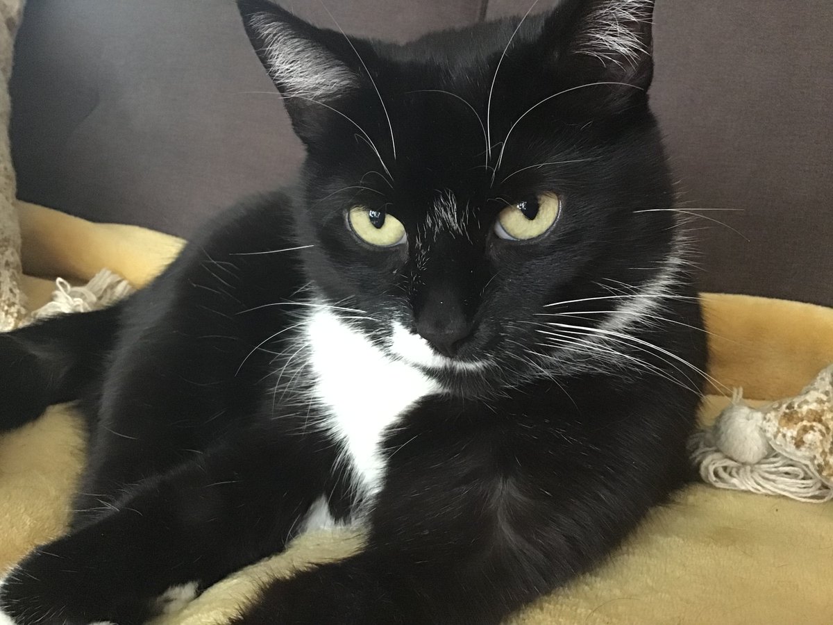 Kathryn Knock tweet media