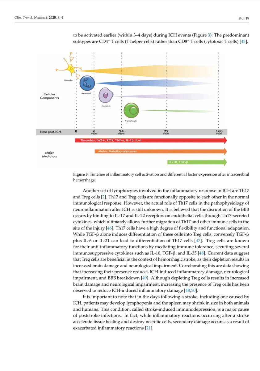 🧠 We are pleased to share our latest review article, “Therapeutic Role of Microglia/Macrophage Polarization in Intracerebral Hemorrhage”, published in Clinical and Translational Neuroscience.

💡 This work explores the critical role of microglia and macrophage polarization,