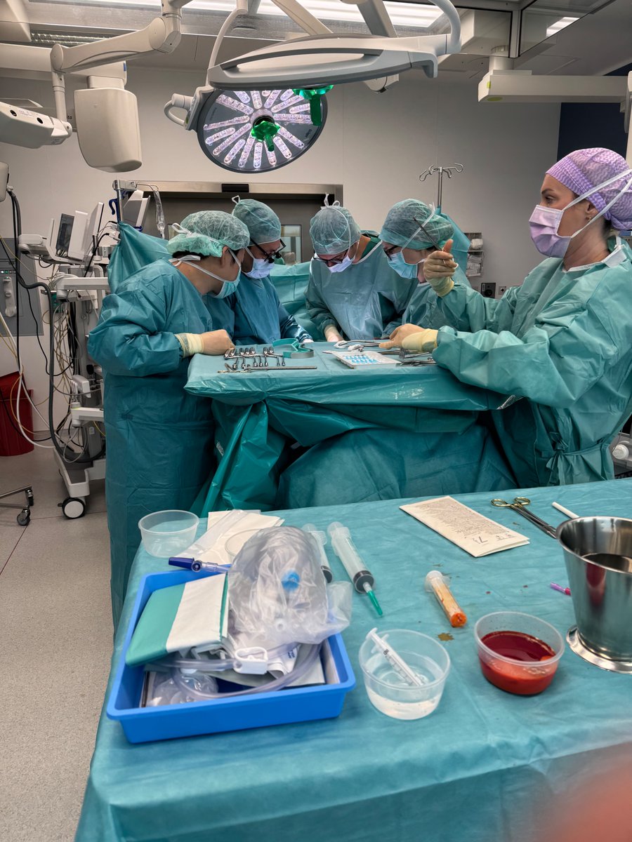 Berk Hazır tweet media