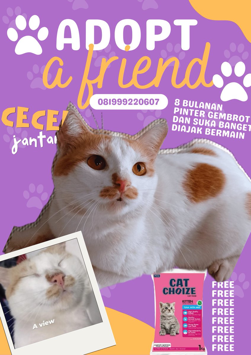 icha42808171's tweet photo. keterangan :
- GRATIS Mixdom (tidak untuk diperjual belikan / makan hewan, butuh keluarga baru)
- Bisa bantu antar kalo deket 
- Umur : 5-10 bulan
- Manja semuaa
📱087755509631
📍Kenjeran, Surabaya
ADOPSI KUCING, GRATIS CAT CHOICE 1KG
#adopsikucingsurabaya #adopsikucinggratis https://t.co/0Gvjy6lsTI