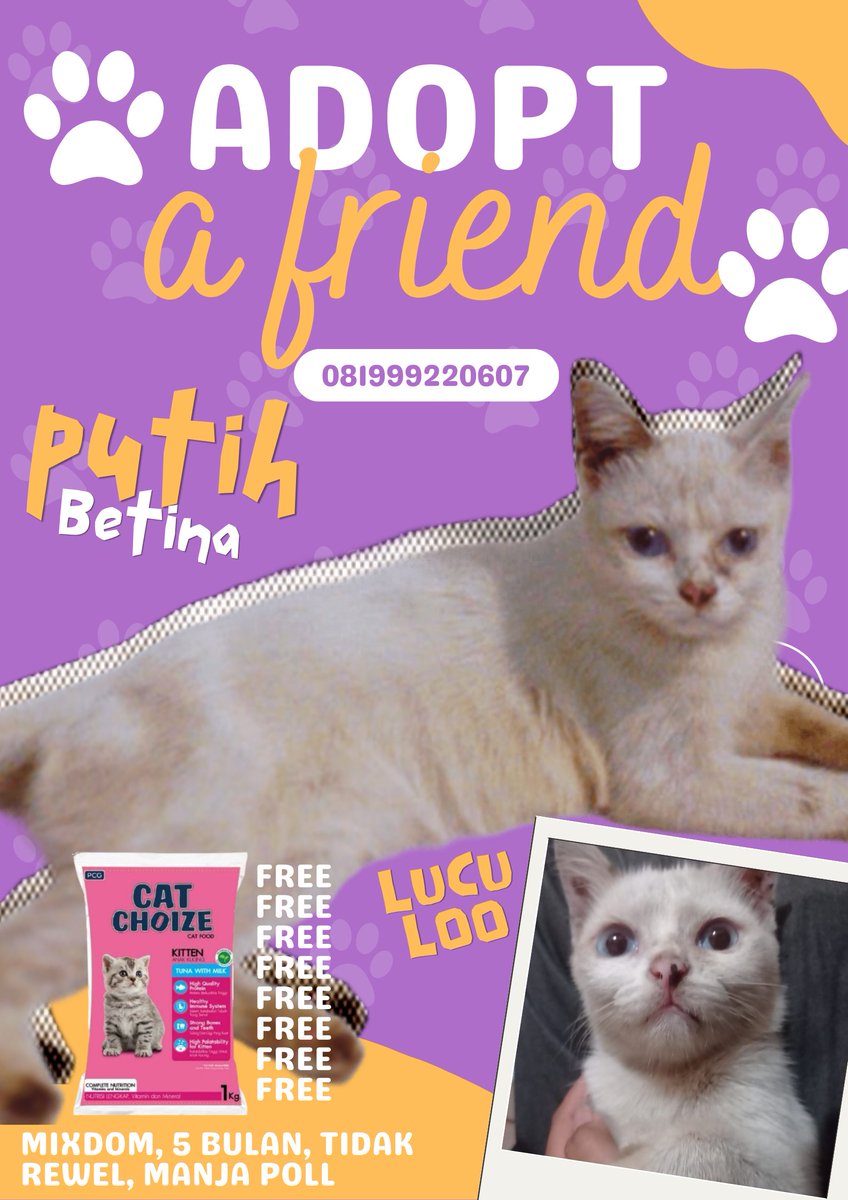 icha42808171's tweet photo. keterangan :
- GRATIS Mixdom (tidak untuk diperjual belikan / makan hewan, butuh keluarga baru)
- Bisa bantu antar kalo deket 
- Umur : 5-10 bulan
- Manja semuaa
📱087755509631
📍Kenjeran, Surabaya
ADOPSI KUCING, GRATIS CAT CHOICE 1KG
#adopsikucingsurabaya #adopsikucinggratis https://t.co/0Gvjy6lsTI