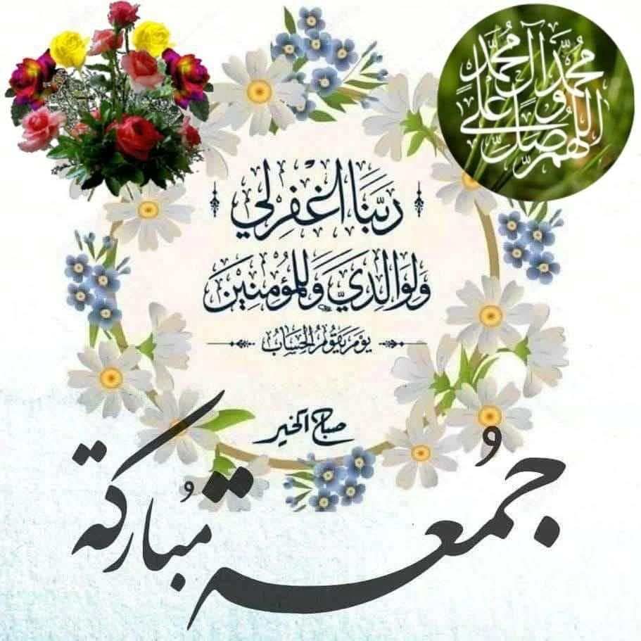 AlyElfecky's tweet photo. @alia_abdou55 https://t.co/iKuDSLU4Dh