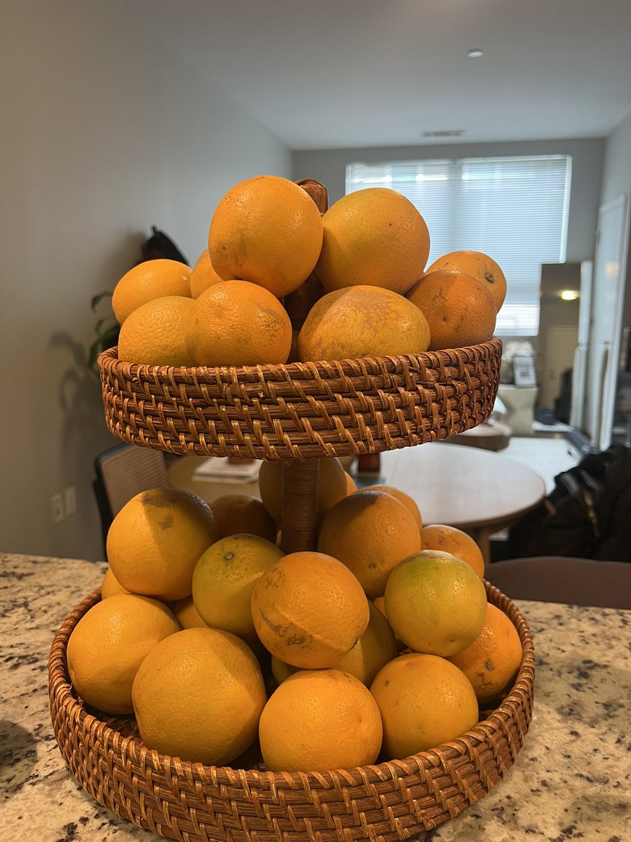 My dad came to visit and brought me viewed oranges (and more) from our backyard tree back in Laredo, Tx🍊🍊 
No scurvy here🤝🏽