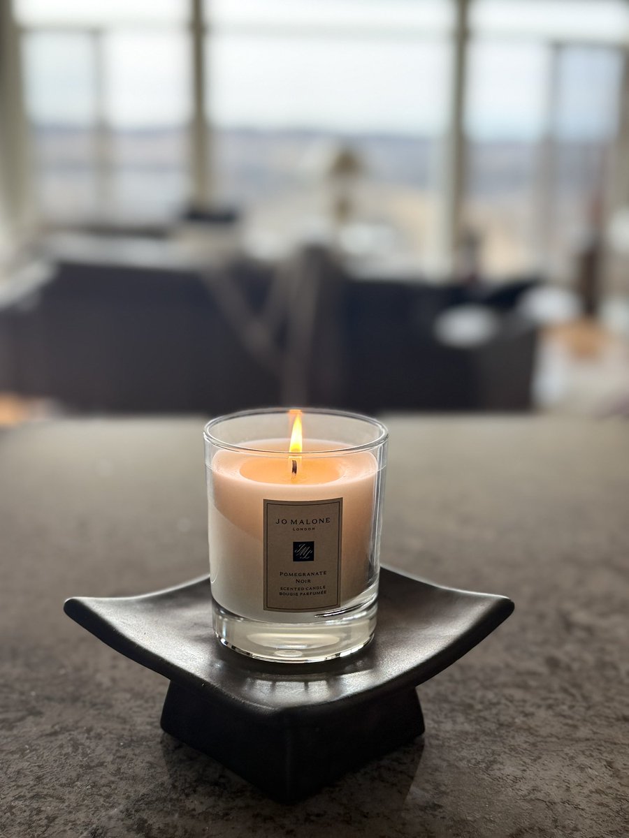 Bella Bee tweet media