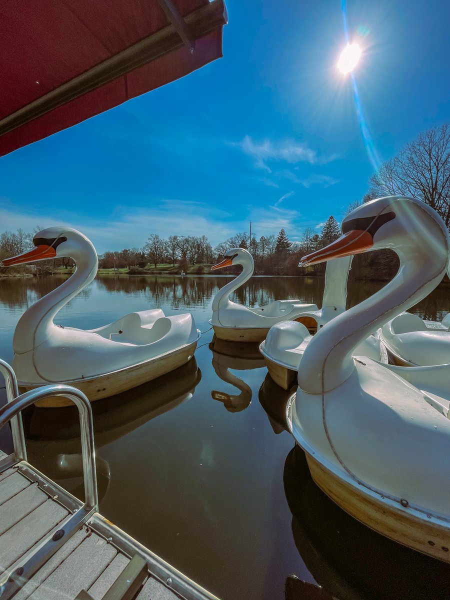 RWPConservancy's tweet photo. 🌞A Beautiful start to a wonderful spring weekend!
🌷Things are blooming 
🤩Kick off with  Food Truck Friday at Roger Williams Park Zoo &amp; Carousel Village
Visit all the places and spaces in PVD's Best Backyard and rejoice in the beauty of Spring! Thank you Mother Nature! https://t.co/o4uQQOeJDe