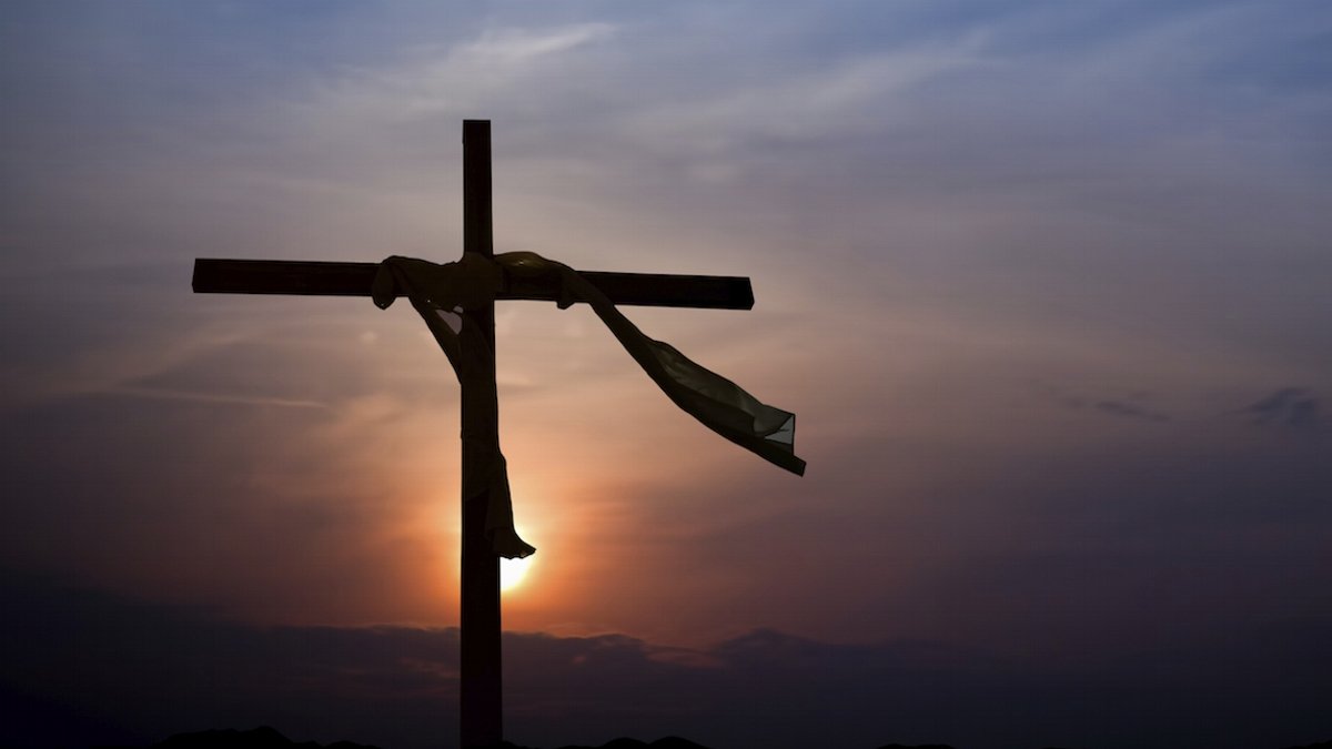 Bonifácio🇧🇷 (@bonifacio1995) on Twitter photo 