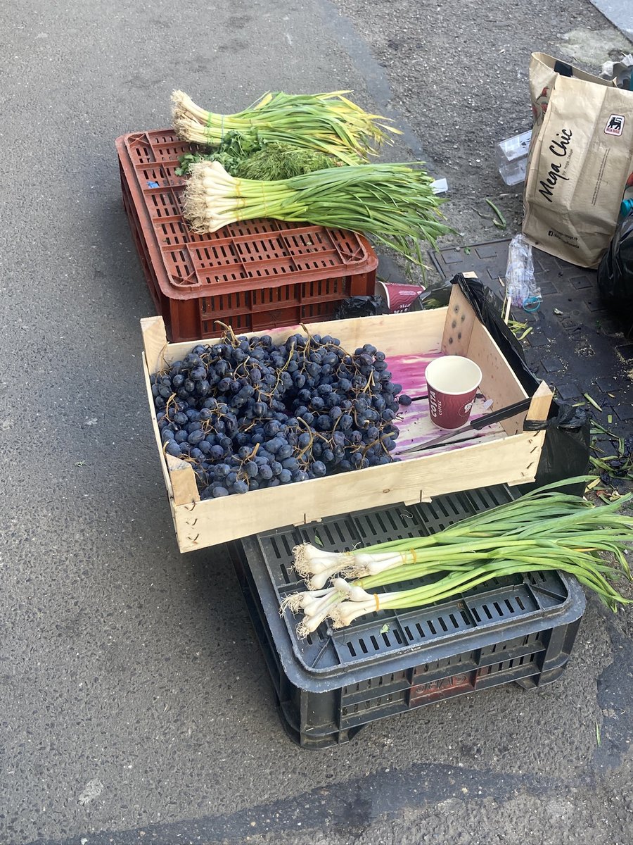 spring in bucharest 🌱