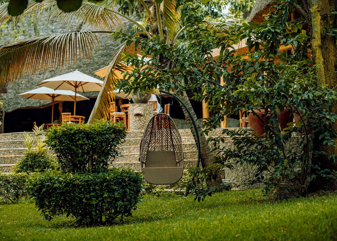 visitrumonge's tweet photo. 😍Admirez la diversité des couleurs tropicales offerte par la nature, sur les rives du lac Tanganyika...☀️🏖🏝
#sunstonebeachhotel #Rumonge #rumongebeach #Burundi #beautifulrumonge #beautifuldestination https://t.co/aPzWZICoaB