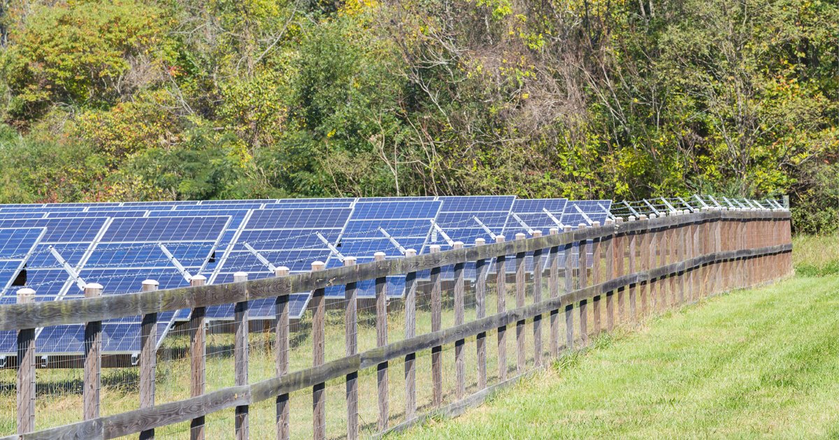 NCORR (@ncorr_gov) on Twitter photo 💚 Get ready for #EarthDay2025 🌍! This year’s global theme is #OurPowerOurPlanet, with an emphasis on harnessing renewable energy to build a healthy and resilient future for communities.
Learn more 👉 earthday.org/earth-day-2025/
<a href="/EarthDay/">EARTHDAY.ORG</a> #ResilientNC #EarthActionDay 💚 Get ready for #EarthDay2025 🌍! This year’s global theme is #OurPowerOurPlanet, with an emphasis on harnessing renewable energy to build a healthy and resilient future for communities.
Learn more 👉 earthday.org/earth-day-2025/
<a href="/EarthDay/">EARTHDAY.ORG</a> #ResilientNC #EarthActionDay