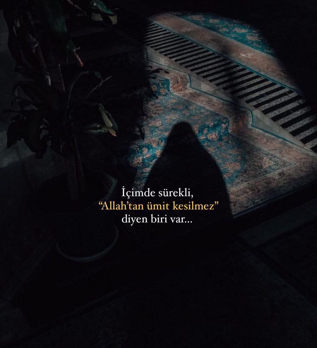 🍉 (@mahfiyyennn) on Twitter photo 
