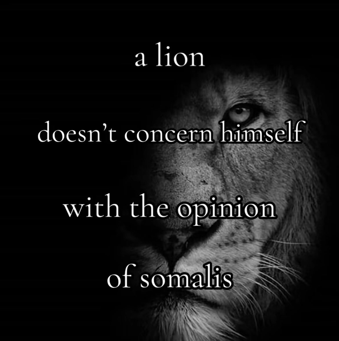 DRACOVELLl's tweet photo. @ComeOnItsAbdi https://t.co/IGOkXzcRRB