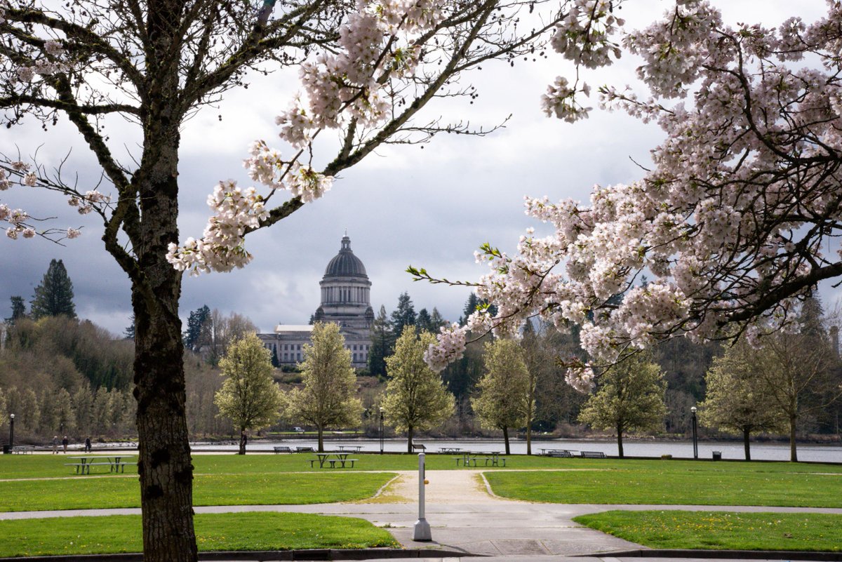 Happy Arbor Day! 🌲Explore the beauty of trees and celebrate sustainability with us. Book your Botanical Tour today: loom.ly/6UrFsK4 🤗
#ArborDay #Sustainability #WAState