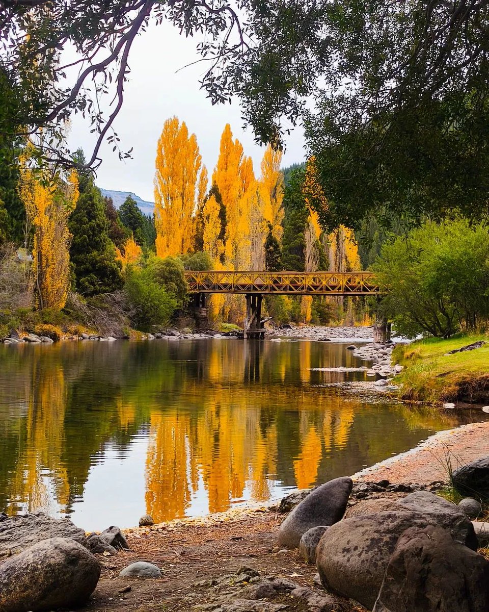 fm_dellago's tweet photo. Belleza absoluta que regala la naturaleza este otoño 2025. Cerca de San Martin de los Andes.
Foto: Marcelo Kurt Urquiaga https://t.co/KFDNsXsCHF