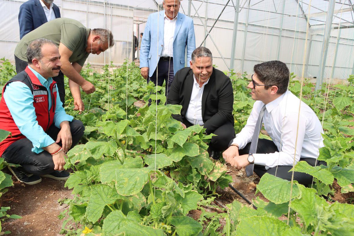 ✅Sayın Kaymakamımız Ömer ZUHAL ve İl Tarım ve Orman Müdürü Mehmet KARAYILAN'ın katılımıyla kadın çiftçilerimize toplam 20 kg gübre dağıtımı yapıldı. Dağıtımın ardından Uygulamalı eğitim seramızı ziyaret ettiler. Emekçi kadınlarımıza bereketli bir sezon dileriz.

<a href="/gantepvaliligi/">Gaziantep Valiliği</a>