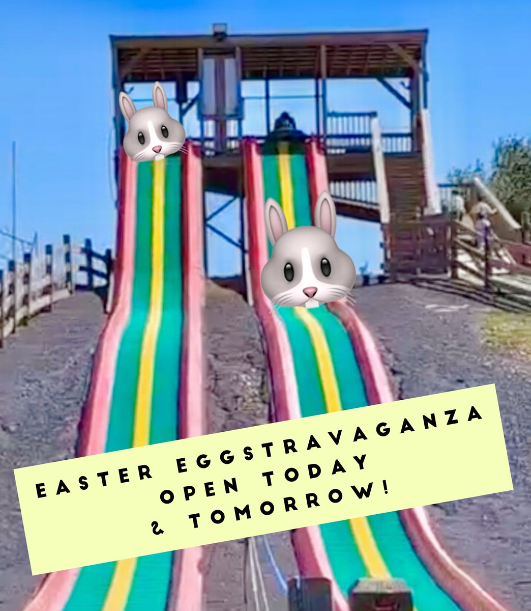 Shady Brook Farm (@shadybrookfarm) on Twitter photo 