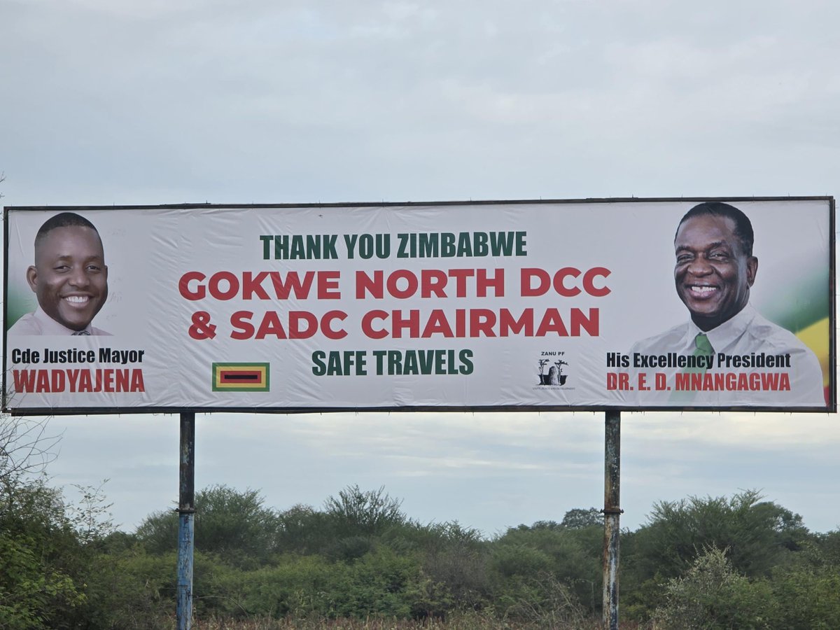 The Standard Zim tweet media