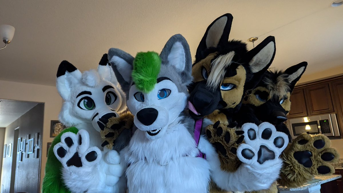 Lukey (@lukehusky) on Twitter photo Prepare to be pounced!
🦊: <a href="/itchavi/">Itchavi</a>
🐕: Brantleyshep and Sabershep on 🔵⛅️
👔: <a href="/CritterWorkshop/">Critter Workshop</a>, <a href="/FFAFursuits/">Fun-Fur-All</a>, and <a href="/TwinkyArts/">Twinky Arts✨</a>
📷: @/TheWolfSerge Prepare to be pounced!
🦊: <a href="/itchavi/">Itchavi</a>
🐕: Brantleyshep and Sabershep on 🔵⛅️
👔: <a href="/CritterWorkshop/">Critter Workshop</a>, <a href="/FFAFursuits/">Fun-Fur-All</a>, and <a href="/TwinkyArts/">Twinky Arts✨</a>
📷: @/TheWolfSerge