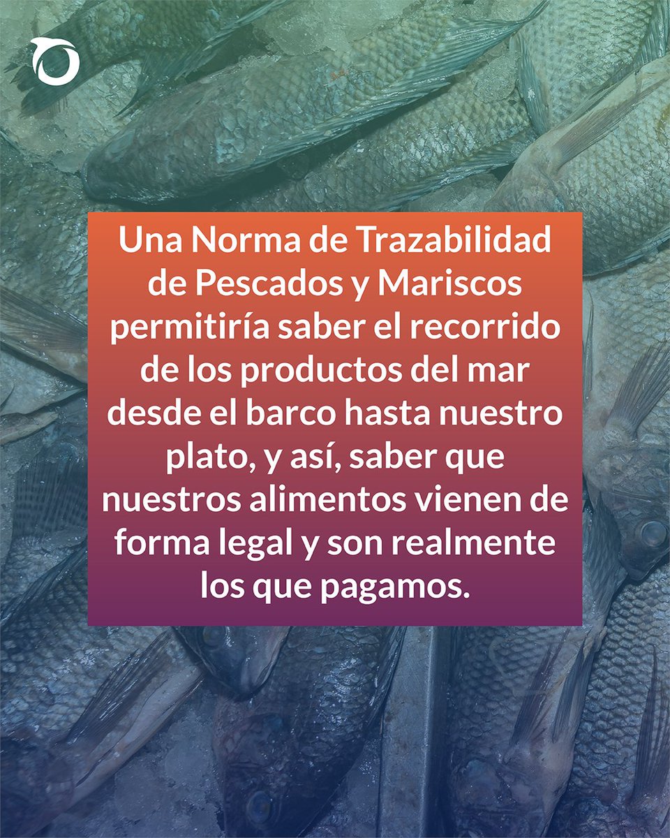 México es un país pesquero y disfrutamos de pescados y mariscos tanto del #GolfoDeMéxico como del Océano Pacífico, sin embargo, la falta de información del origen de los productos de mar trae impactos perjudiciales a la salud de los océanos y al bolsillo de los consumidores.