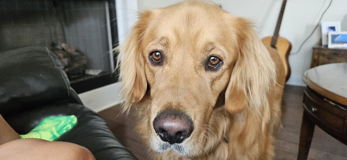 FNFrayman tweet media