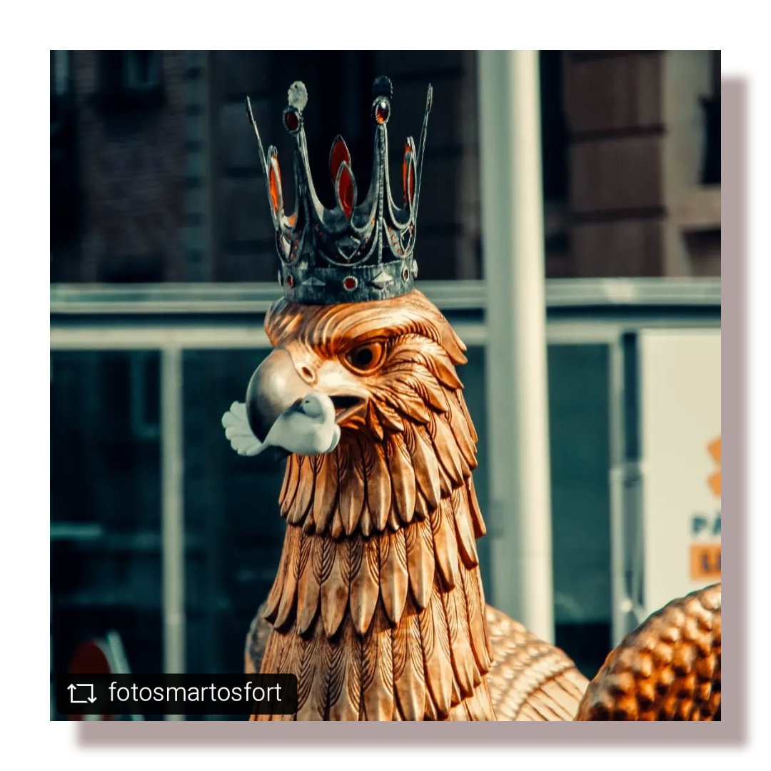ร๐น๐ถ๐ด๐ฎ ๐๐ฒ ๐ฅ๐ฒ๐๐ (@aligadereus) on Twitter photo #REPOST <a href="/fotosmartosfort/">fotosmartosfort</a>
no se quien me gusta mรกs....
๐ค@basiliscdereus
๐ฆ
@aligadereus
๐ธ<a href="/fotosmartosfort/">fotosmartosfort</a>
#AligaDeReus #AligaDeCatalunya #AliguesDeCatalunya #AliguesDelsPaisosCatalans #BallDeLAliga #DansaDeLAliga #FiguresZoomorfiques #ImatgeriaFestiva
Sesiones o eventos dm ๐จ #REPOST <a href="/fotosmartosfort/">fotosmartosfort</a>
no se quien me gusta mรกs....
๐ค@basiliscdereus
๐ฆ
@aligadereus
๐ธ<a href="/fotosmartosfort/">fotosmartosfort</a>
#AligaDeReus #AligaDeCatalunya #AliguesDeCatalunya #AliguesDelsPaisosCatalans #BallDeLAliga #DansaDeLAliga #FiguresZoomorfiques #ImatgeriaFestiva
Sesiones o eventos dm ๐จ