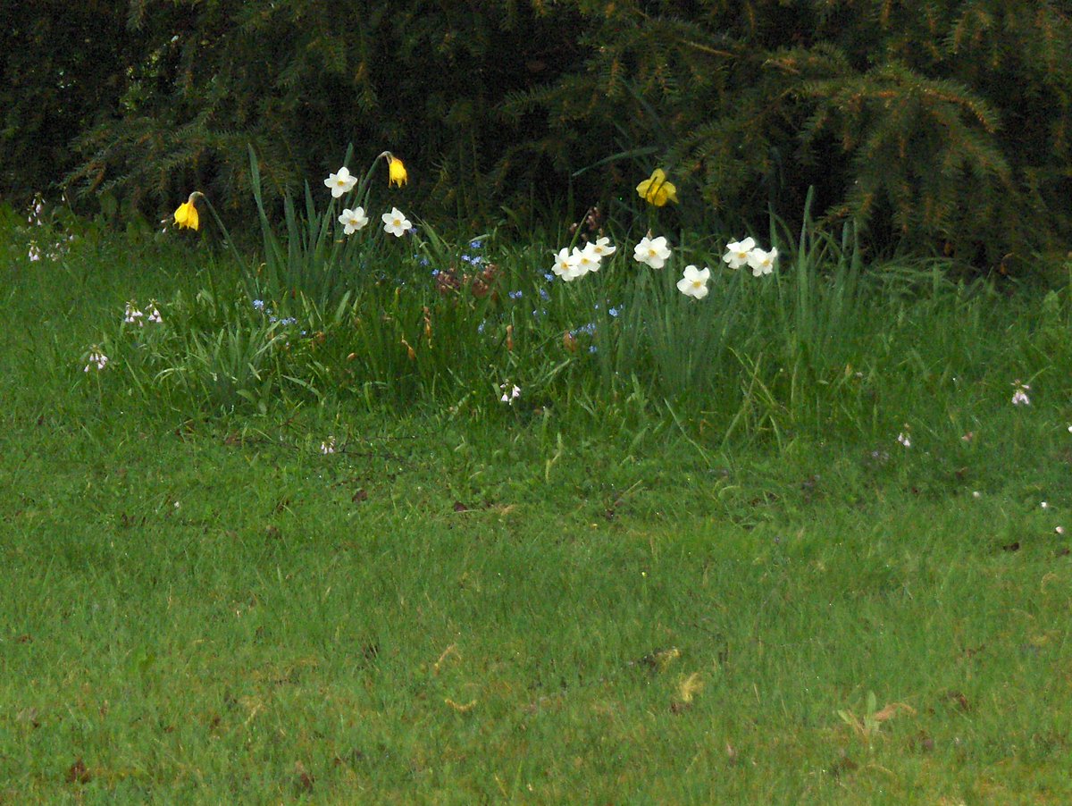 vermesserschink's tweet photo. Ostern in der Eifel https://t.co/QEuI0H6vHr