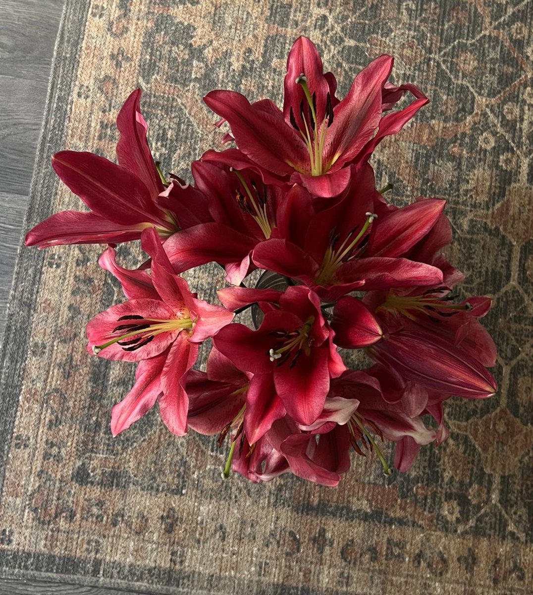 i3Moment's tweet photo. Burgundy lilies https://t.co/n8av1qCCYN