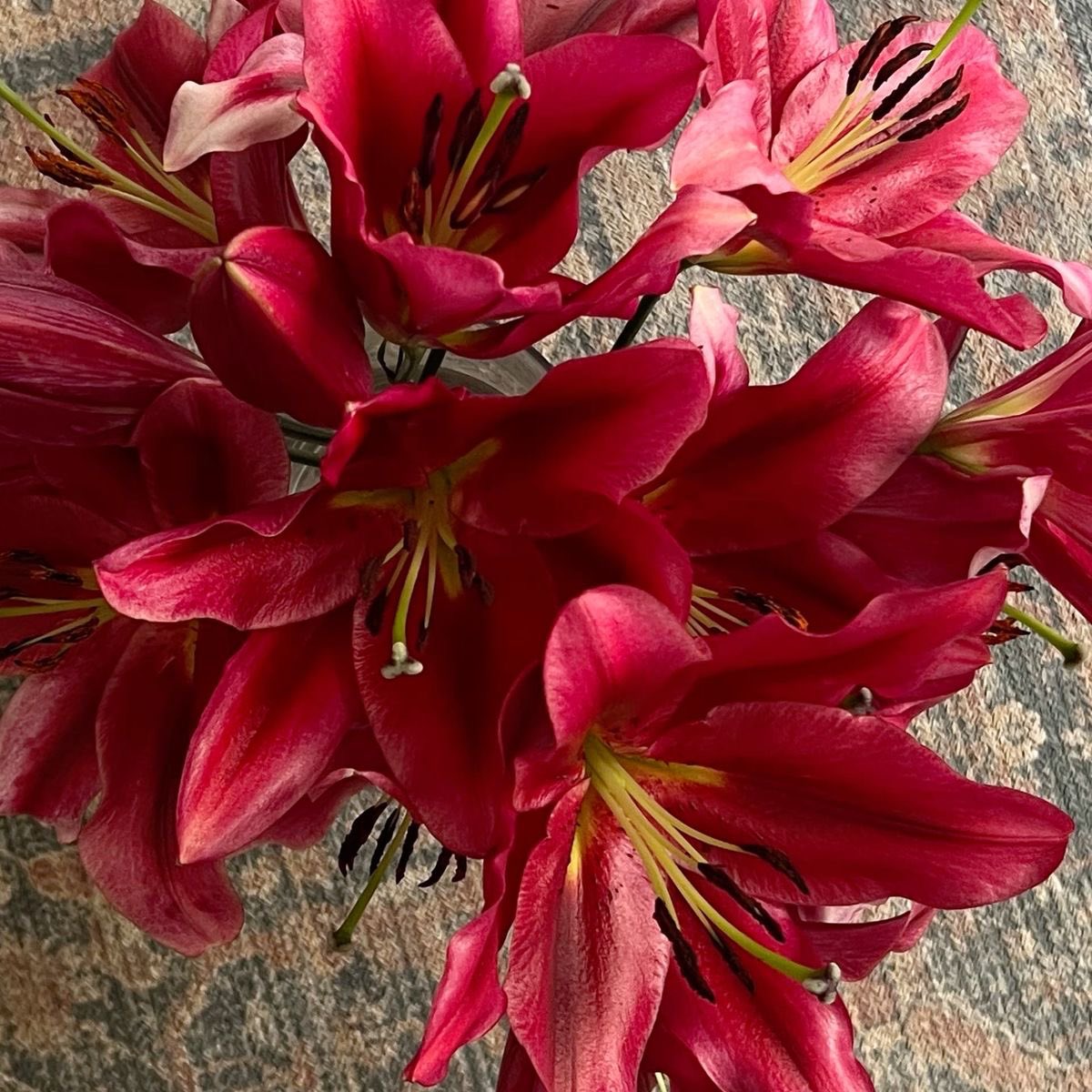 Burgundy lilies