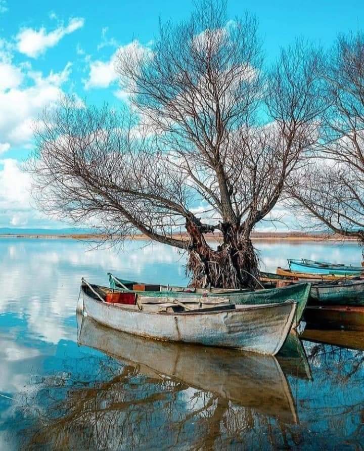 Denizli.de Aktifim reyal pasifler ve saksocular tanışalım misafirim olun