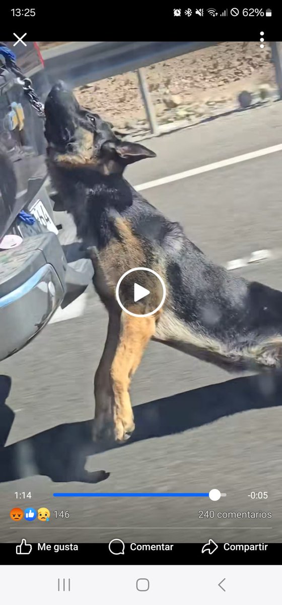 code47_chile's tweet photo. @AyudaBancoChile @bancodechile , este vehiculo esta a nombre del banco de chile y este tipo mato al perrito , le avisaron y no quiso detenerse , que tiene que decir el banco de chile?@chvnoticias @canal13 @TVN @RECLAMO_CHILE https://t.co/j6Q2PfepyR
