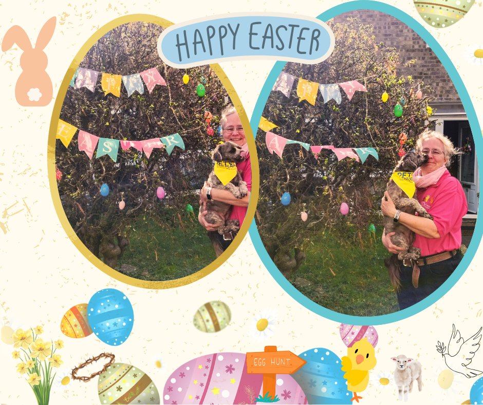 CPFT Volunteers (@cpftvolunteers) on Twitter photo Happy Easter from our <a href="/PetsAsTherapyUK/">Pets As Therapy</a> dog Mabel, Volunteer Anita and all of the team. Thank you to all our Volunteers supporting services over the bank holiday weekend 💙 Happy Easter from our <a href="/PetsAsTherapyUK/">Pets As Therapy</a> dog Mabel, Volunteer Anita and all of the team. Thank you to all our Volunteers supporting services over the bank holiday weekend 💙