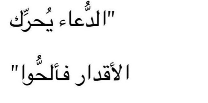 Altaf Alfaifi 𓃗 tweet media