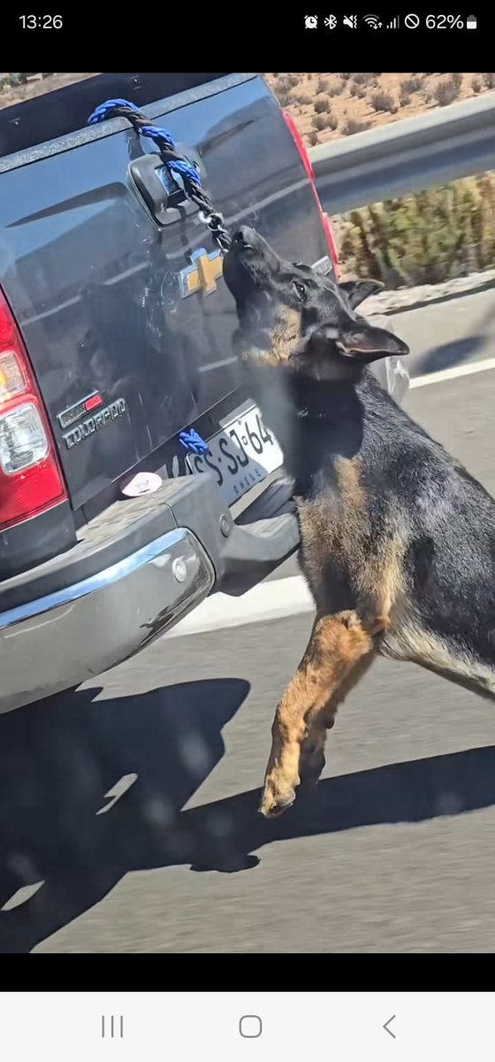 code47_chile's tweet photo. @bancodechile este tipo mato al perrito y el vehiculo esta a nombre de banco de chile SSSJ64 https://t.co/mWJ3uYpleo