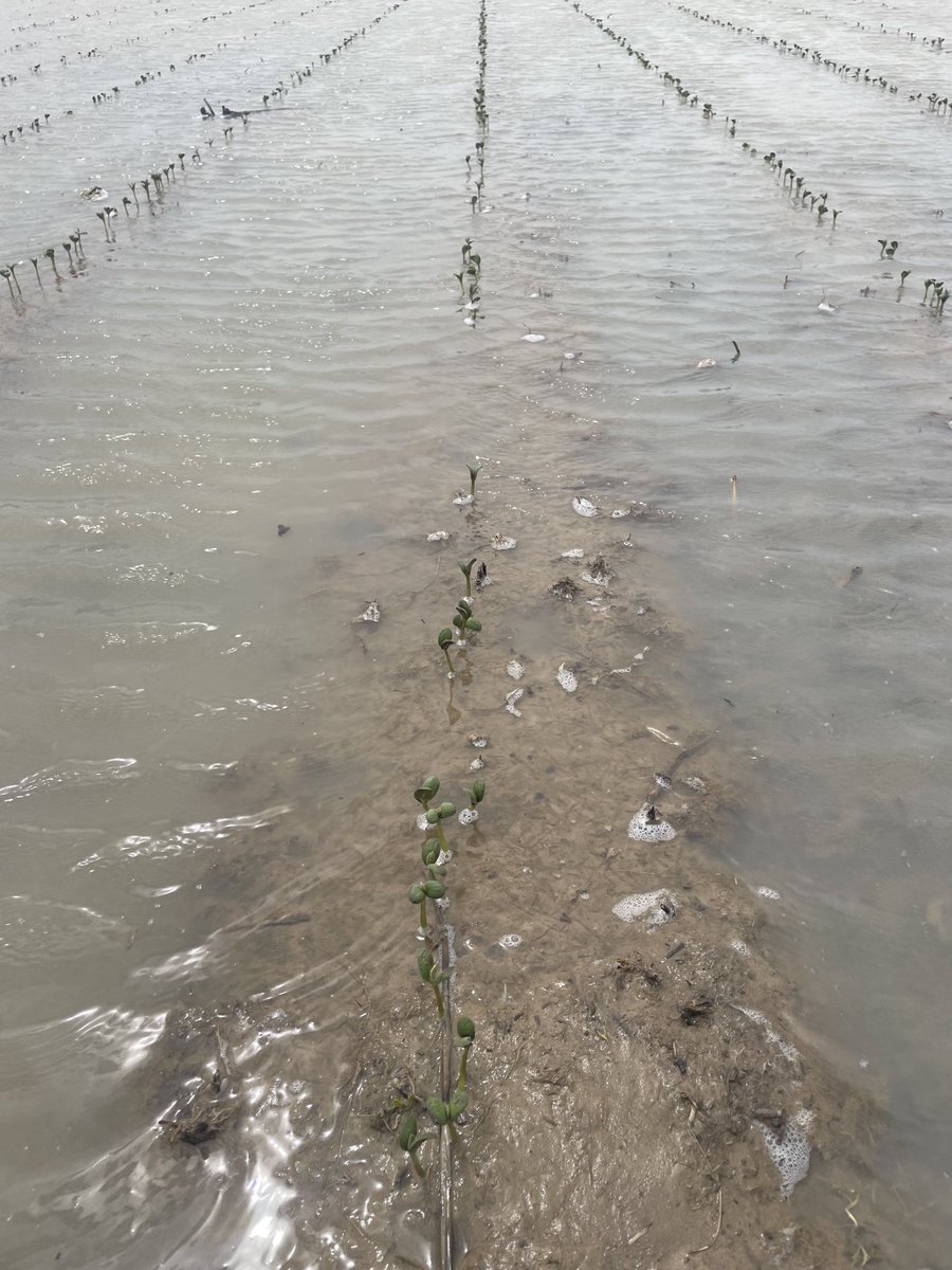 Joe Christian tweet media