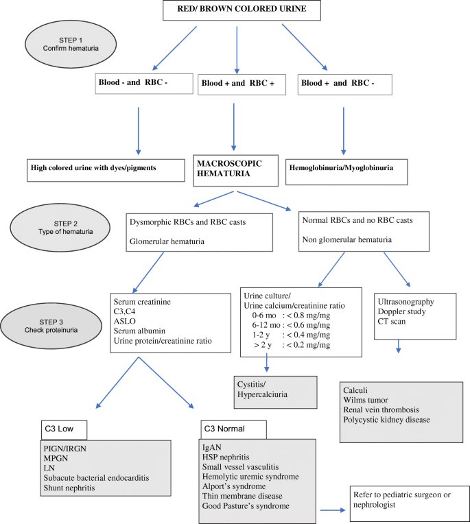 drsthanus's tweet photo. Approach to Diagnosis and Management of Hematuria.

https://t.co/oiNCEdFhHt https://t.co/2LQk0tMcCN