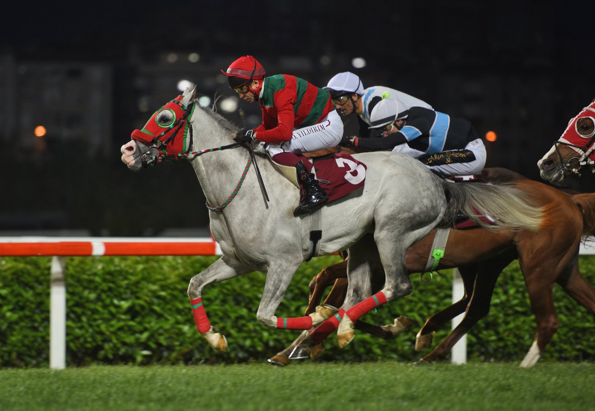 Attila Midillili Koşusu'nda kazanan Gürbüz Tay oldu 

tjk.org/TR/YarisSever/…