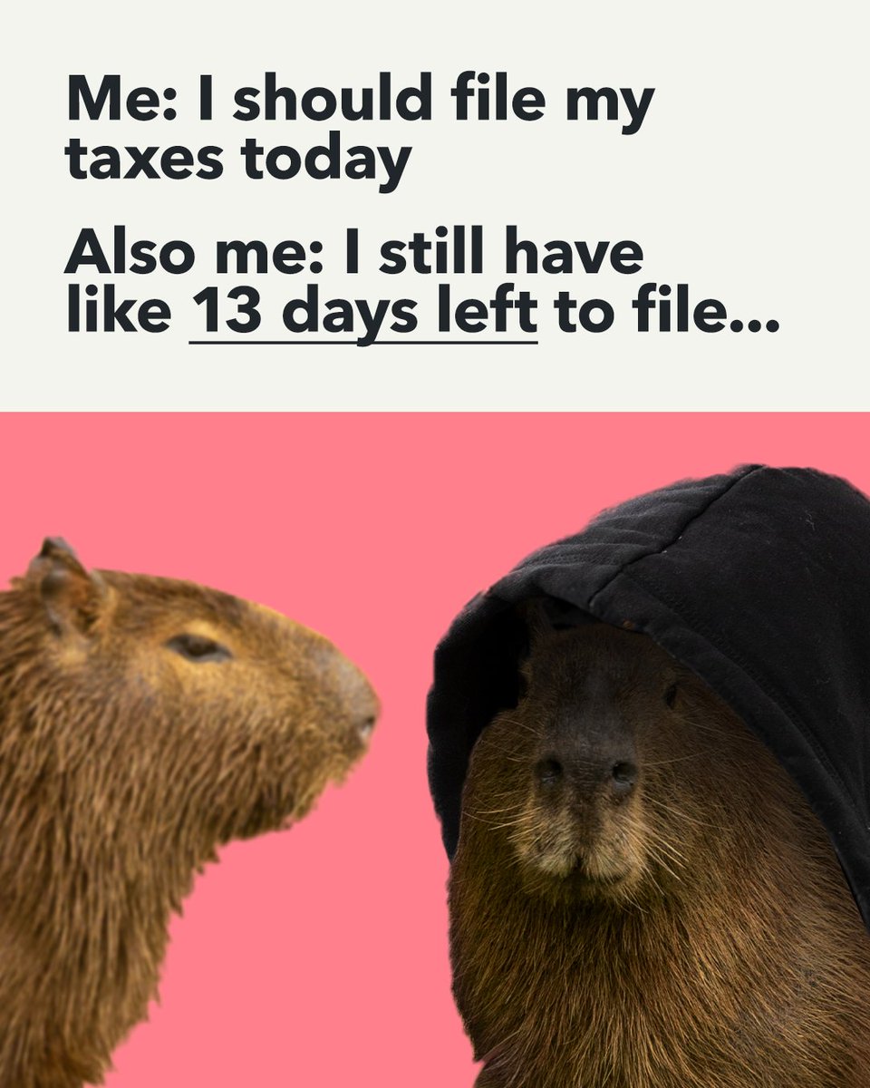 There are two capybaras inside you and they are both reminding you that taxes are due April 30! Get started with TurboTax today.
bit.ly/4jequtY