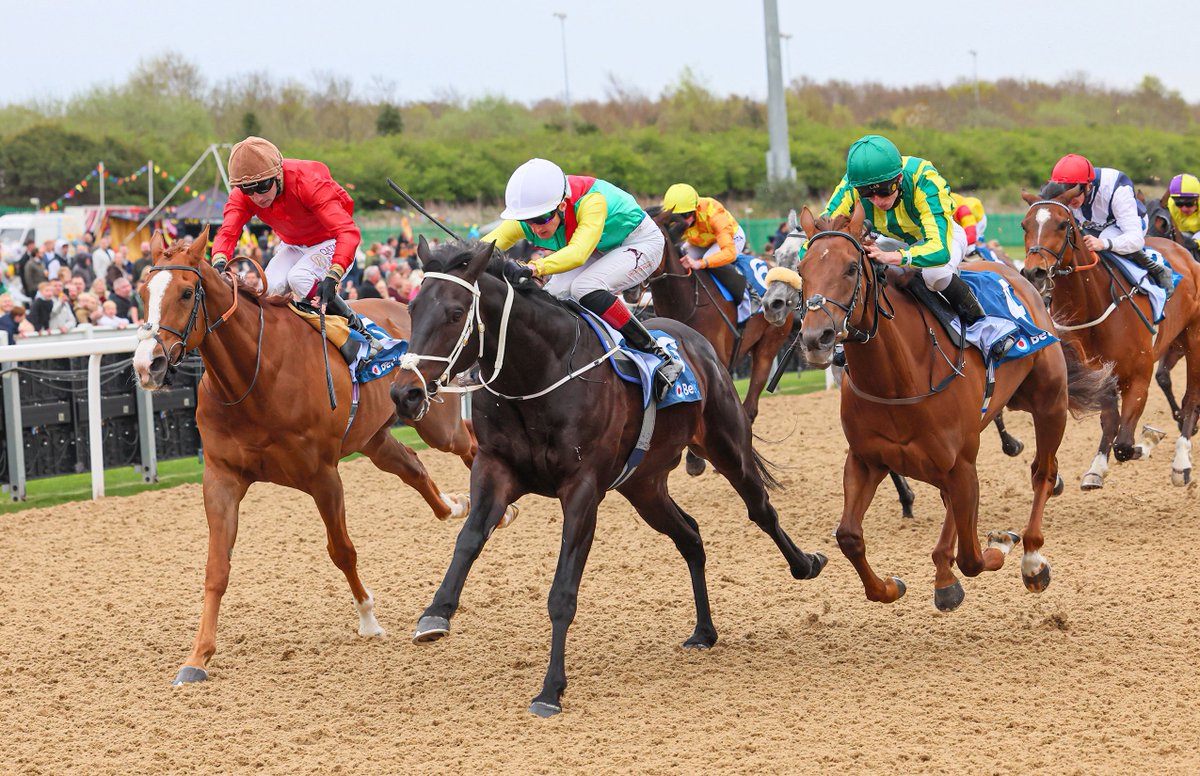 AWChampionships (@awchamps) on Twitter photo The seven winners on Finals Day <a href="/NewcastleRaces/">Newcastle Racecourse</a>:
⭐️ Glittering Legend
⭐️ Berkshire Whisper
⭐️ Heavenly Heather
⭐️ Storm Star
⭐️ We Never Stop
⭐️ Salamanca (📸)
⭐️ Wonder Legend
For all the news and reaction, please visit:
awchampionships.co.uk
<a href="/JaneChappleHyam/">JaneChappleHyam</a> | <a href="/DavidEgan99/">David Egan</a> The seven winners on Finals Day <a href="/NewcastleRaces/">Newcastle Racecourse</a>:
⭐️ Glittering Legend
⭐️ Berkshire Whisper
⭐️ Heavenly Heather
⭐️ Storm Star
⭐️ We Never Stop
⭐️ Salamanca (📸)
⭐️ Wonder Legend
For all the news and reaction, please visit:
awchampionships.co.uk
<a href="/JaneChappleHyam/">JaneChappleHyam</a> | <a href="/DavidEgan99/">David Egan</a>
