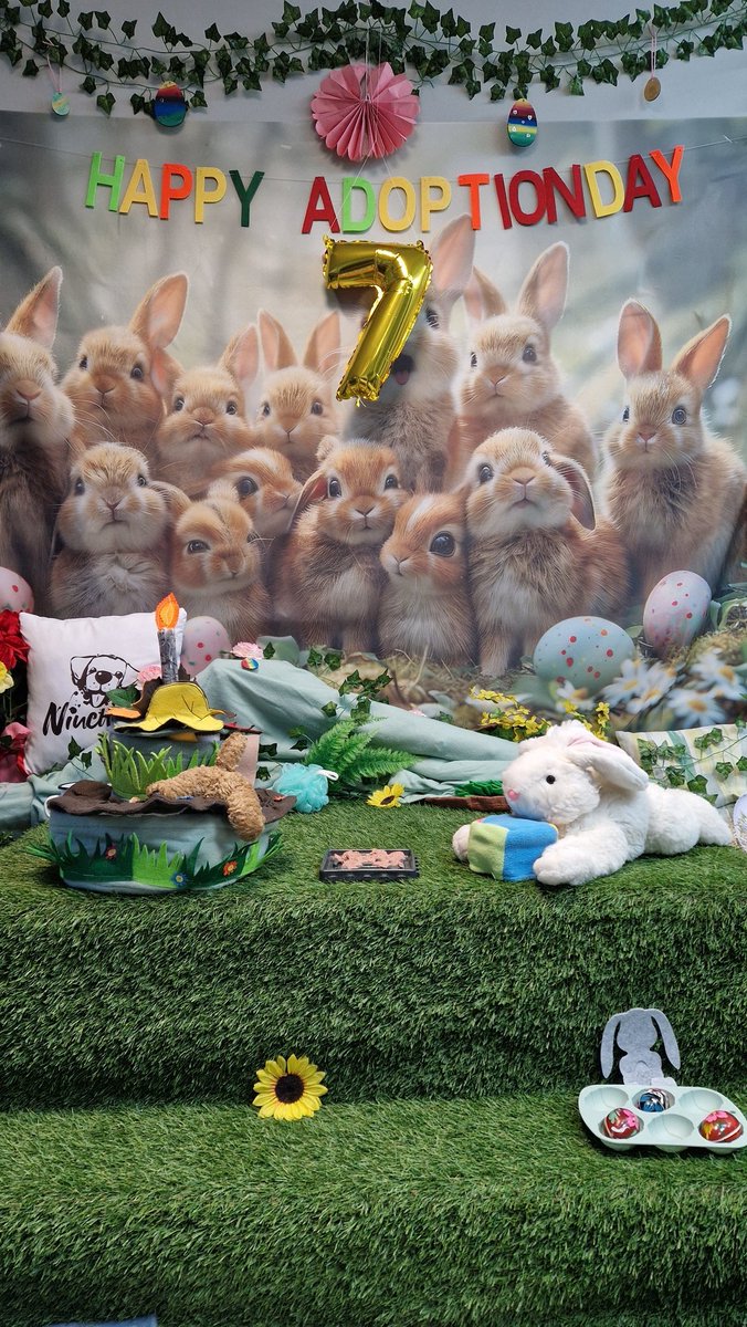 NiuCHATKA's tweet photo. Zgadnijcie kto dziś idzie do NiuCHATKI świętować swoje 7 adopciny, które były 1 kwietnia... 🎂🎁
Czekamy na Wasze życzenia, chociaż Blender ma chyba tylko jedno.
#brainwork #Gdańsk #pies #adopciny #adoptionday #zabawywechowe #Trójmiasto #kundelek #eksploracja #smaczki https://t.co/pMt0BAitlo