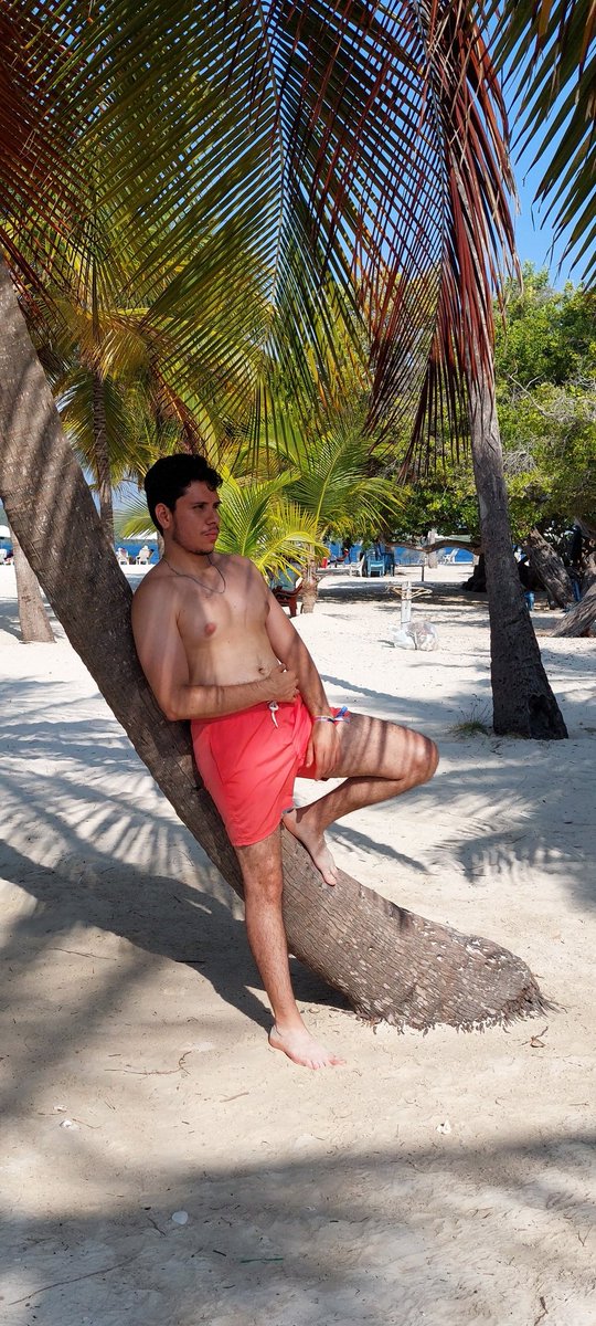Alejandro tweet media