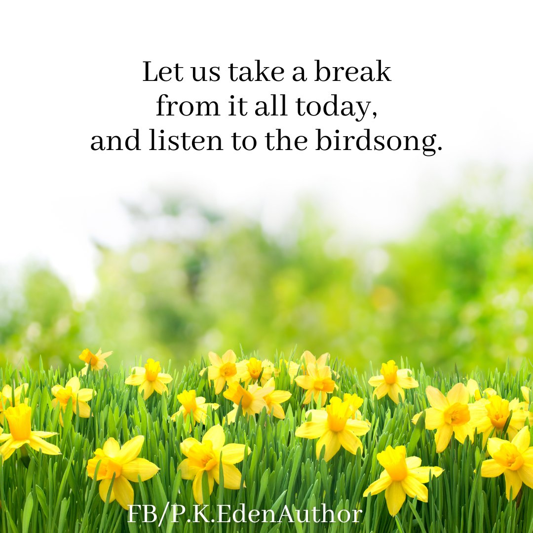 PKEdenAuthor's tweet photo. We look forward to this warmer time of year, when birds and butterflies return to the north east. What do you enjoy during the season of Spring?
#warmerweather #birdsandbutterflies #seasonofSpring #TheMirrorbyPKEden #TheWildRosePress https://t.co/RMFlqDVy7t https://t.co/bgoIqi6oT2