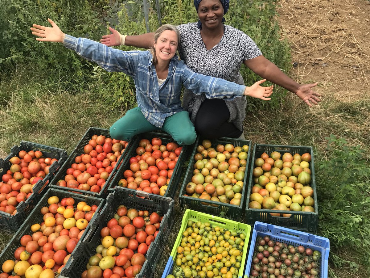 Louisa #SaveSoil tweet media