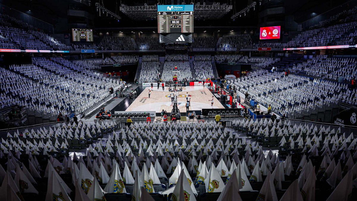 🙌 ¡TODO LISTO! 🙌