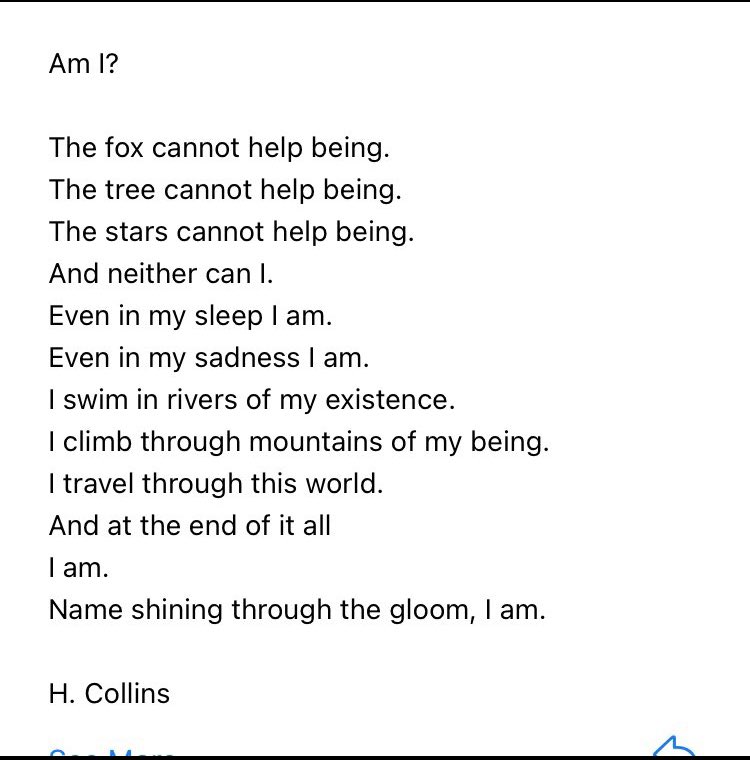 Since the highest officials of our 'government' have stated that people with autism will "never write a poem" or live beautiful lives, I'm sharing this poem written by an autistic child.

She used my poetry prompts that show everyone has a voice within. Education matters, and it