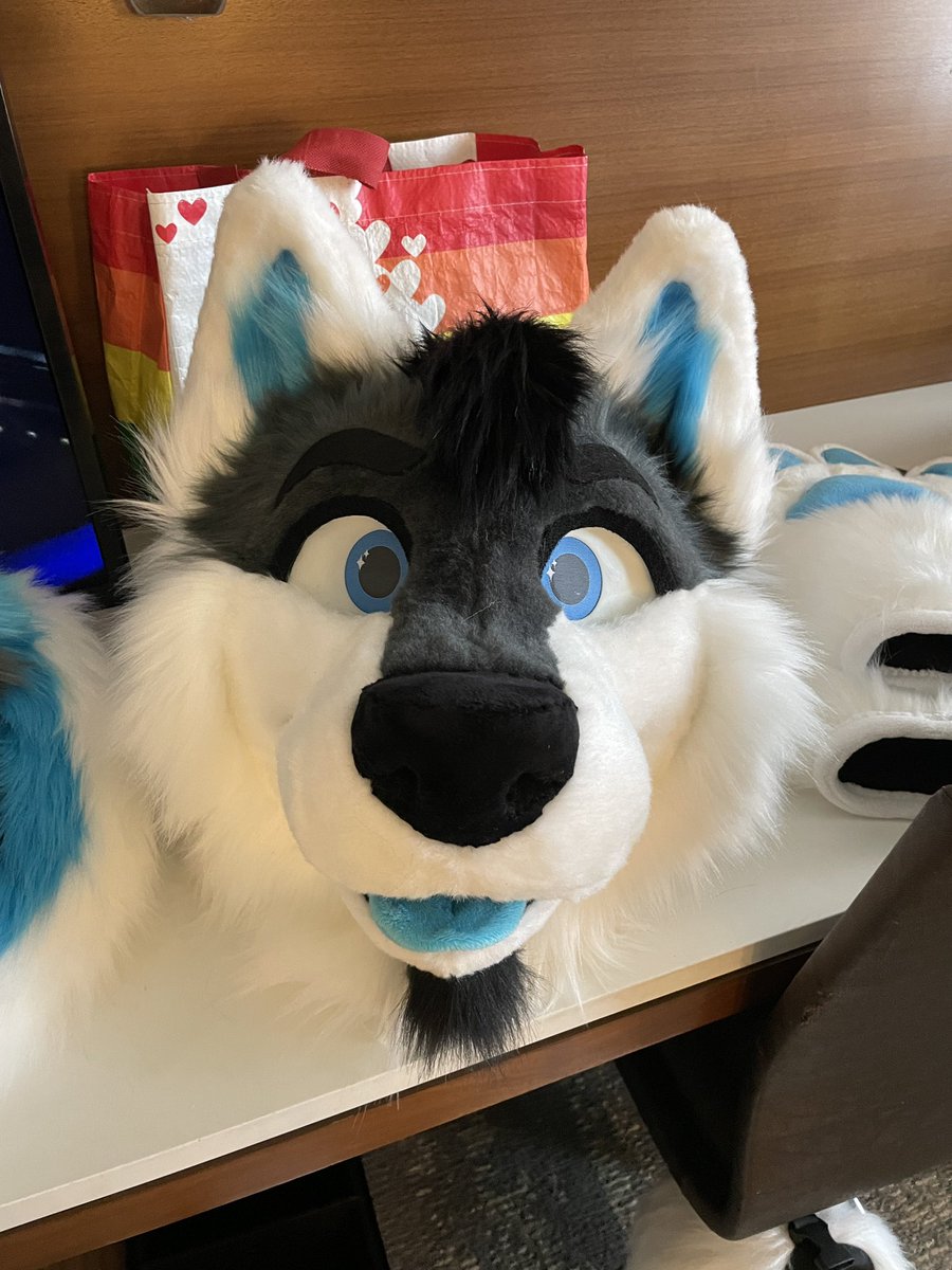 thedoggodex's tweet image. Finally at #anthrohio2025 hope to see some folks!! Also, Happy #FursuitFriday