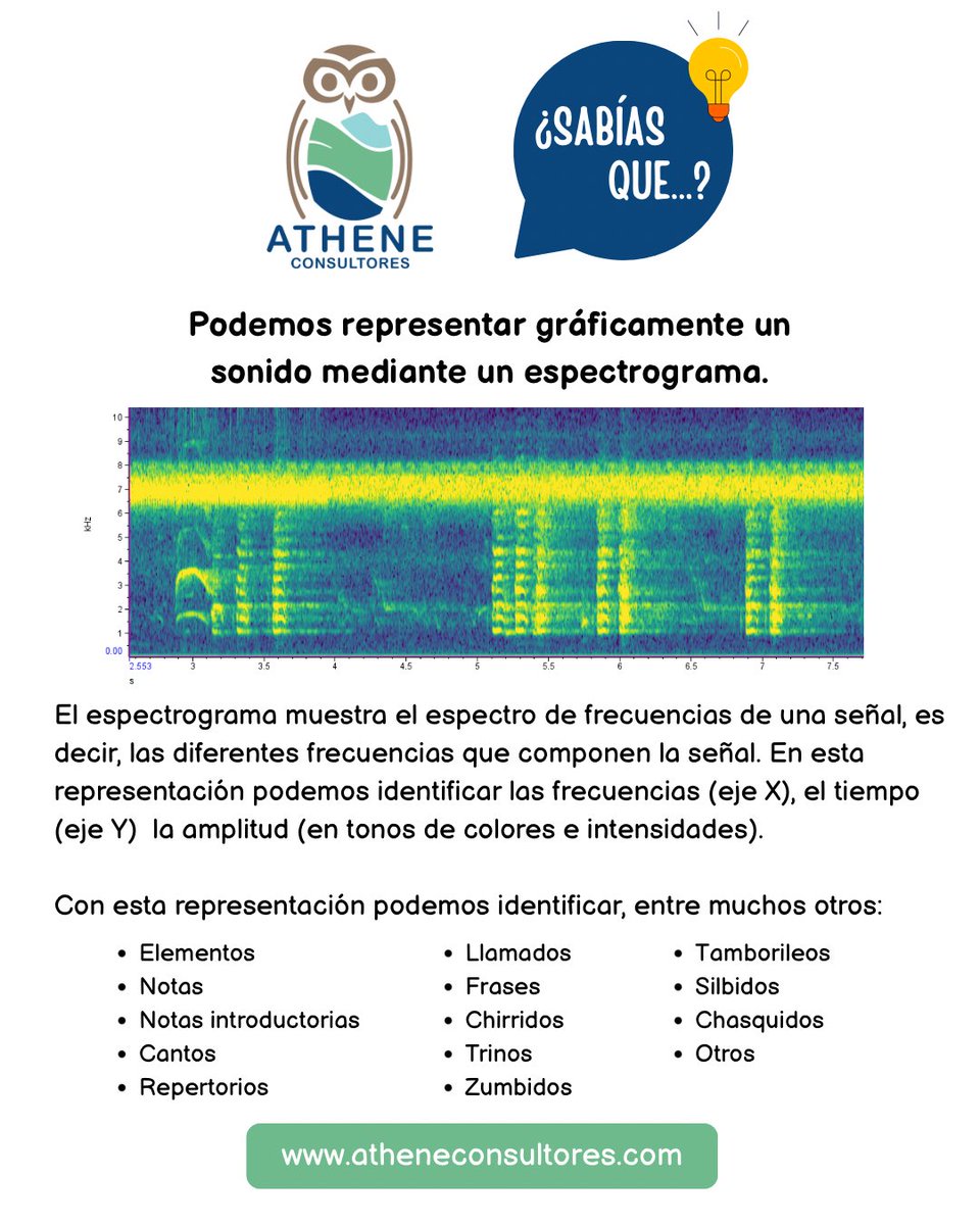 VargasMasis's tweet photo. ¿Te gustaría aprender a generar estas representaciones gráficas e identificar estos tipos de sonidos y estructuras?

Recuerda inscribirte en nuestro taller en línea en nuestra web https://t.co/SEtPMHyEJf https://t.co/4BF2FQXtuf