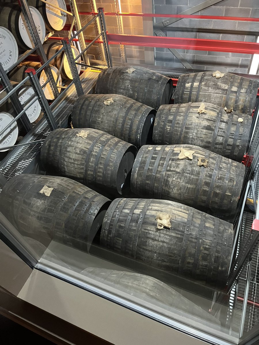 Still In Cask tweet media