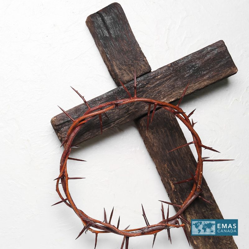 EMAS CANADA tweet media