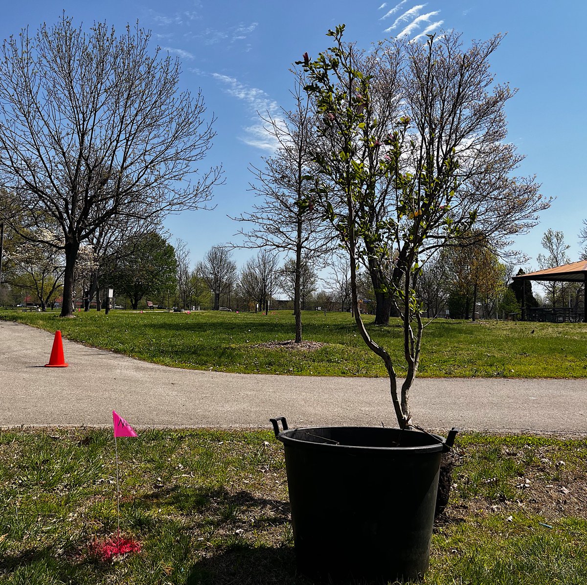 loukyparks's tweet photo. We’re doing our final walkthrough for TreeFest tomorrow. Gates open at 11 a.m. for a full day of tree-related fun: tree climbing, ID hikes, hands-on activities, and more. Can’t wait to see y’all at Petersburg Park!
#TreeFest #EverythingLouisville #Do502 https://t.co/AAOMp9KhST